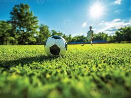 今日足球竞彩专家预测推荐总汇移动端界面展示